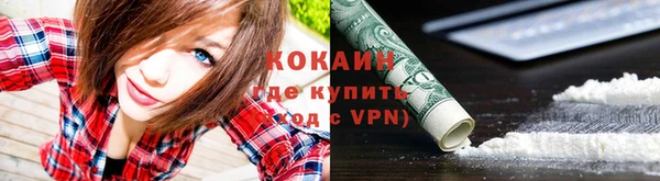 амф Дмитриев