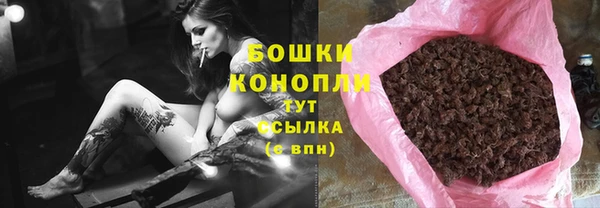 амф Дмитриев