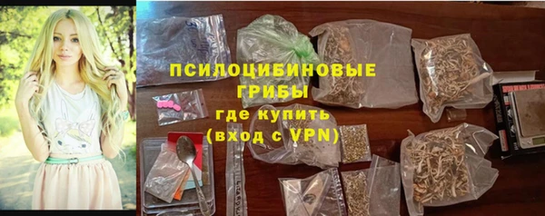 амф Дмитриев
