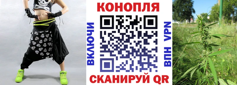 Купить где  Новодвинск  Каннабис THC 21% 